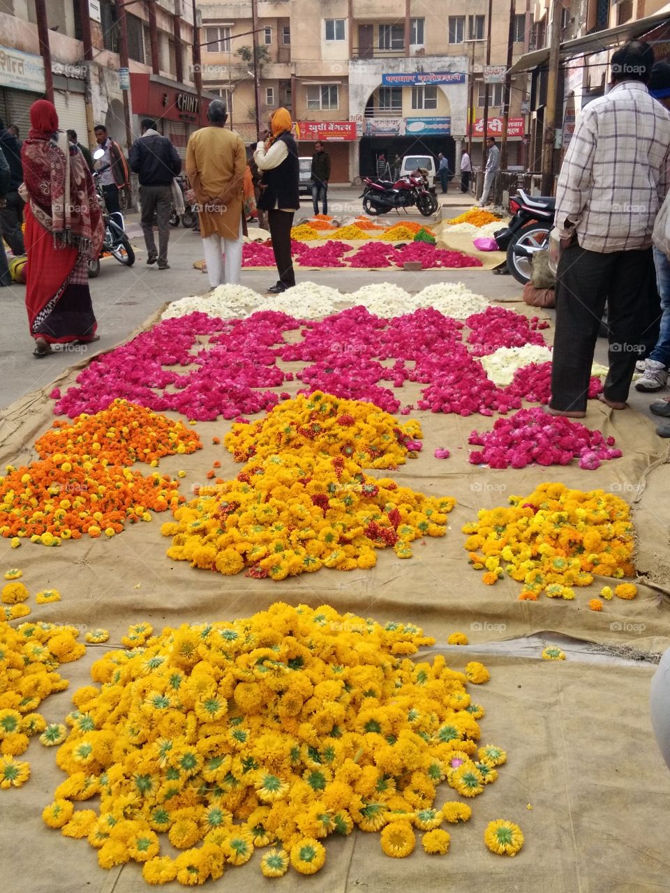 indias amazing flower market
