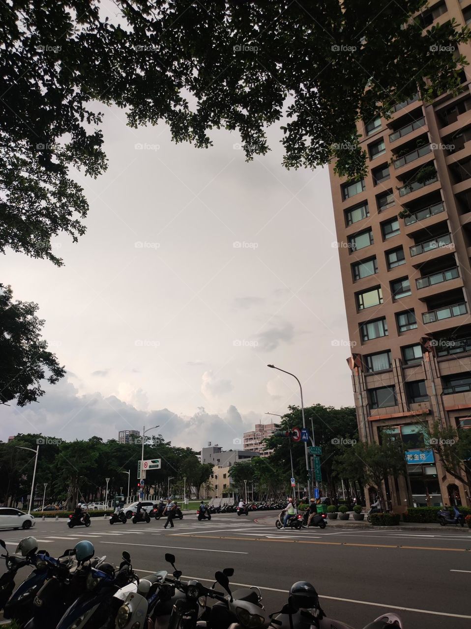 Motorcycle and scooter