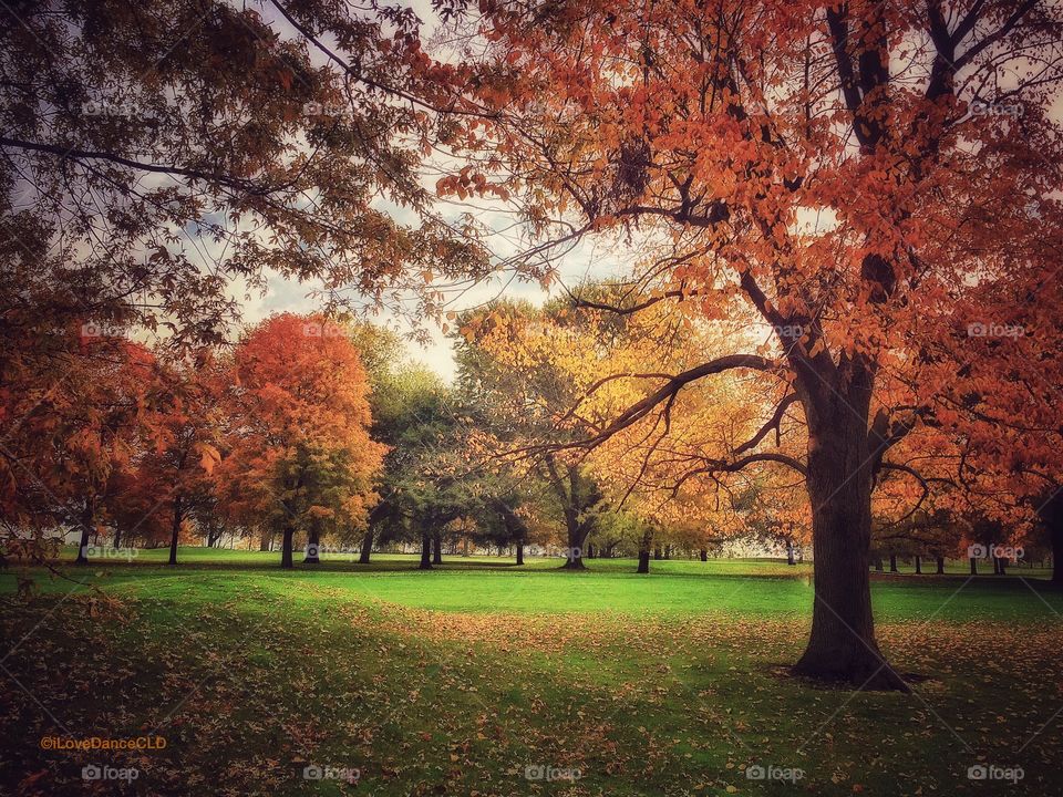 Chicago Series: Autumn Morning View at the Bus Stop