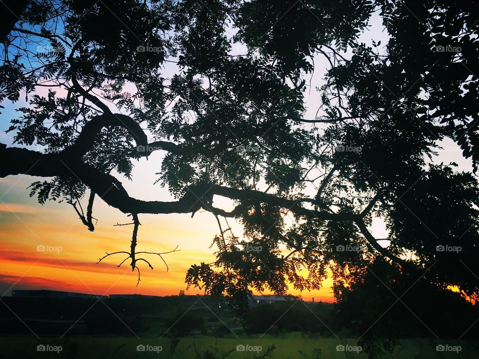 🌅Desperte, #Jundiaí. 
Que a jornada diária possa valer a pena!
🍃
#sol #sun #sky #céu #photo #nature #morning #alvorada #natureza #horizonte #fotografia #pictureoftheday #paisagem #inspiração #amanhecer #mobgraphy #mobgrafia #AmoJundiaí