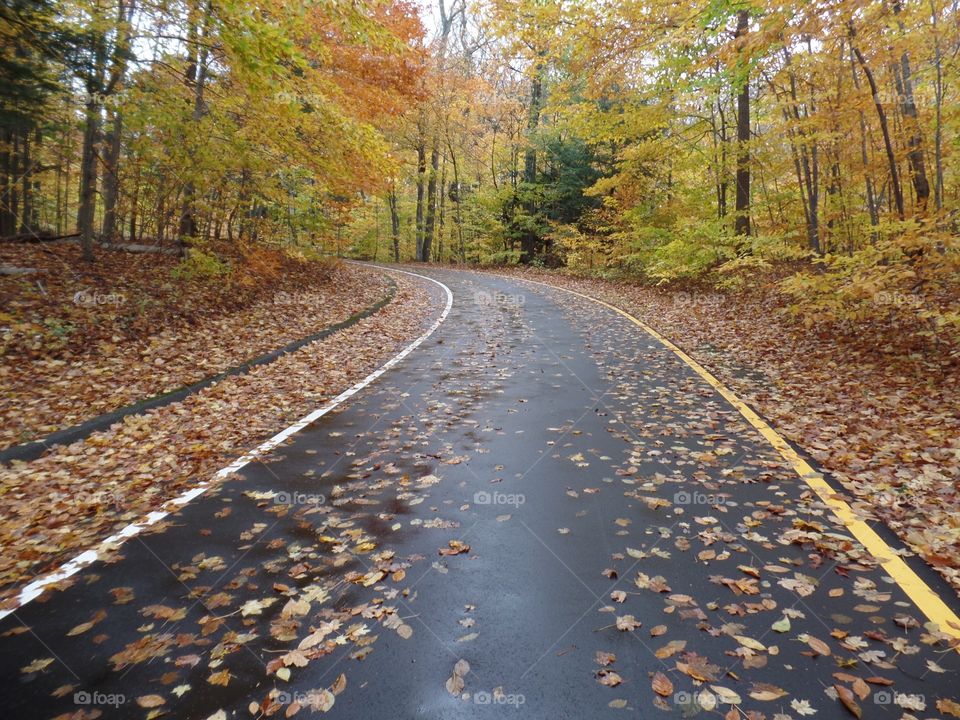 Northern Michigan 