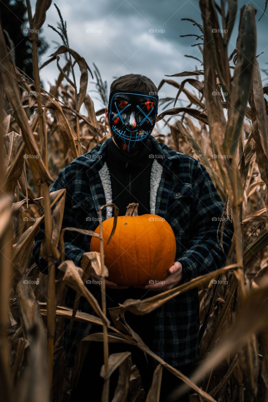 espantalho do wallhoen