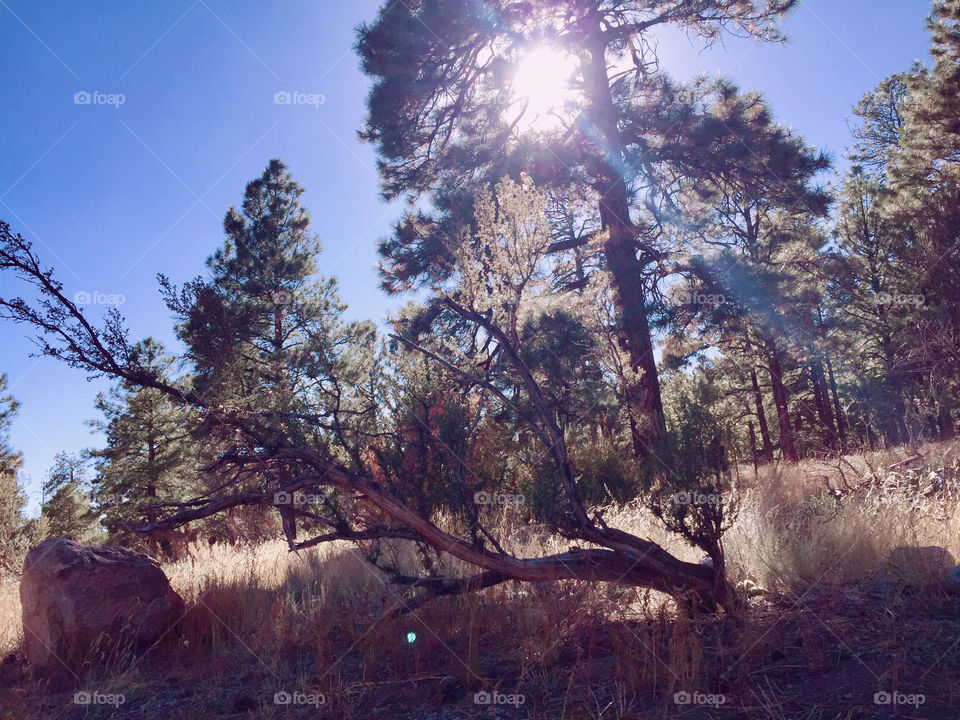Beautiful morning at camping ⛺️ grounds 