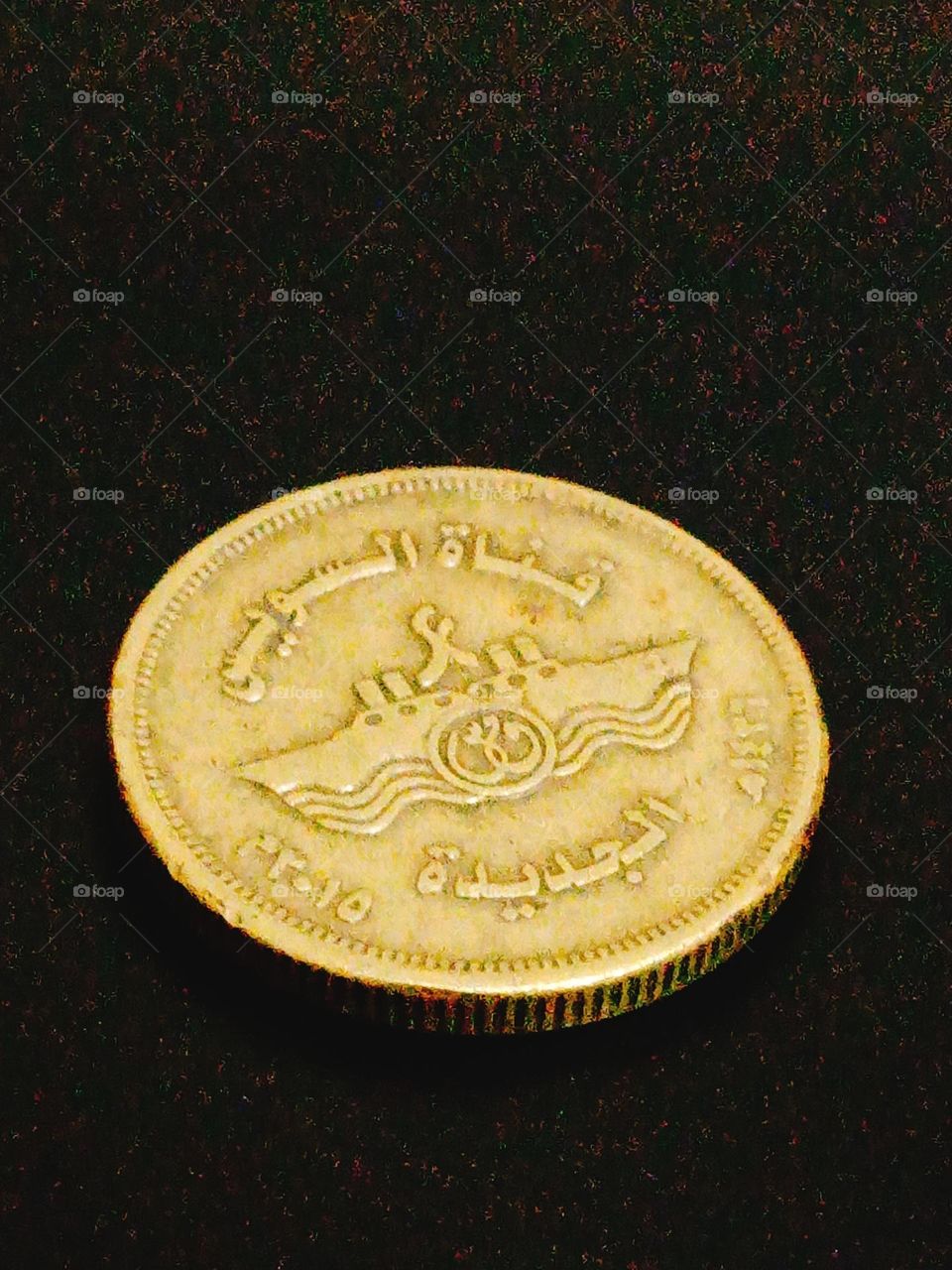 Unique Egyptian coin