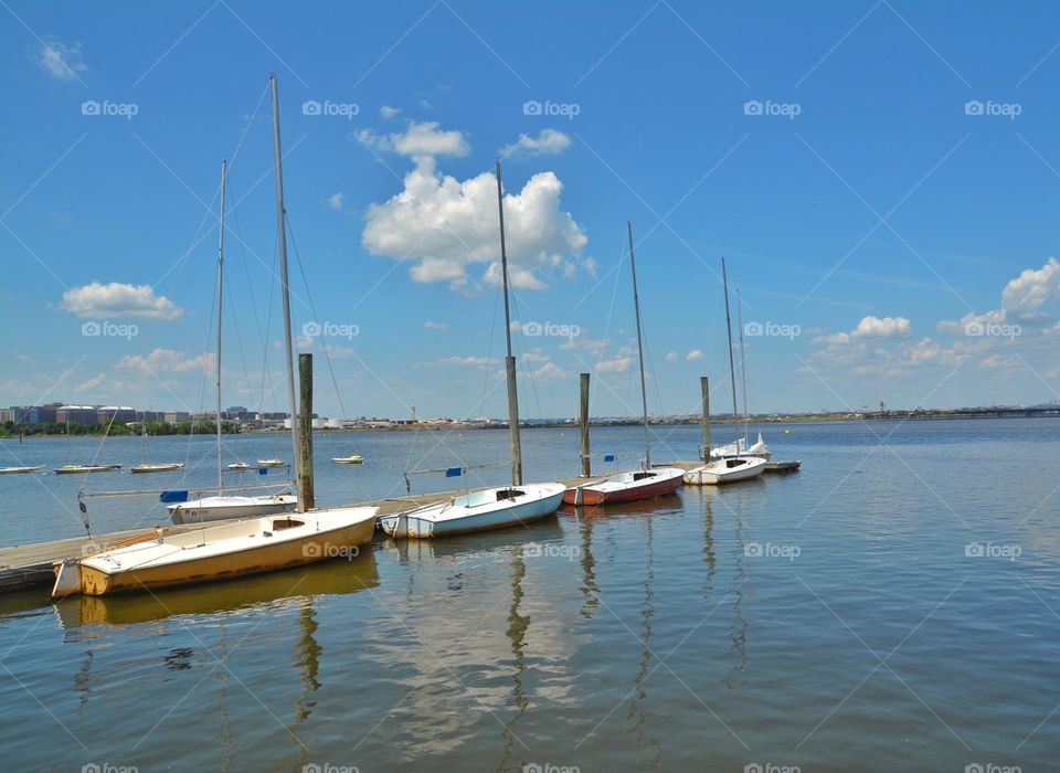 Sailboats at the Marina