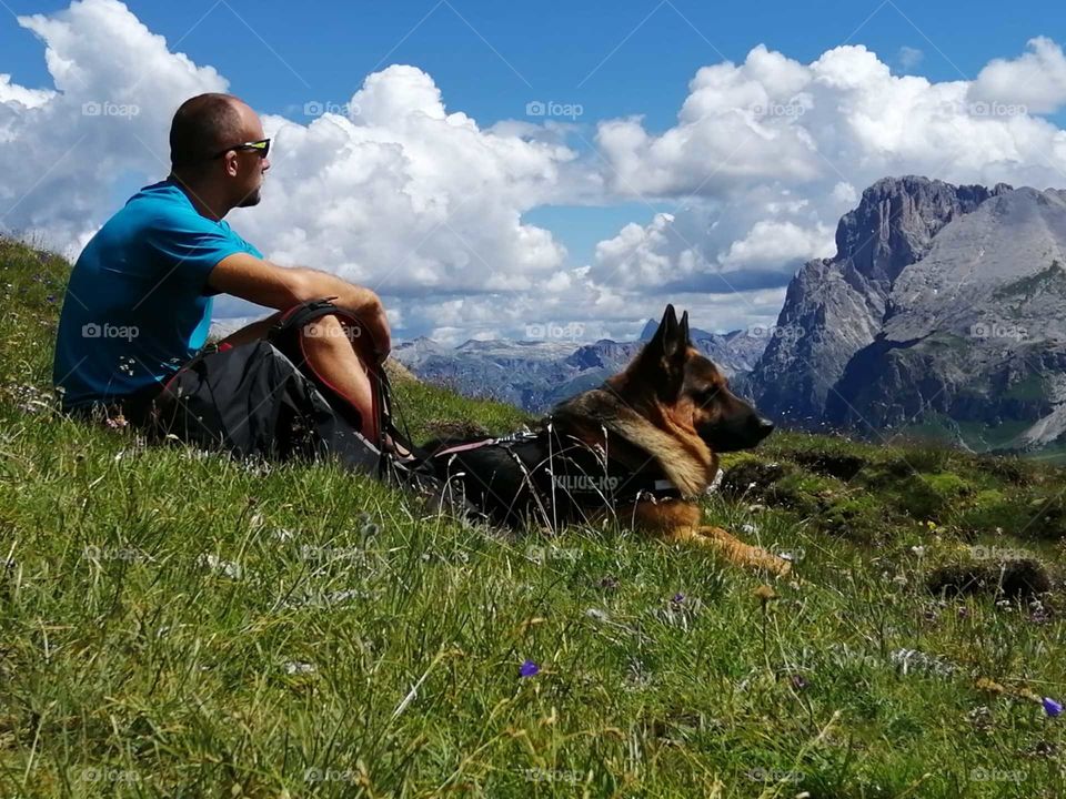 my dog Iago looking at the mountain
