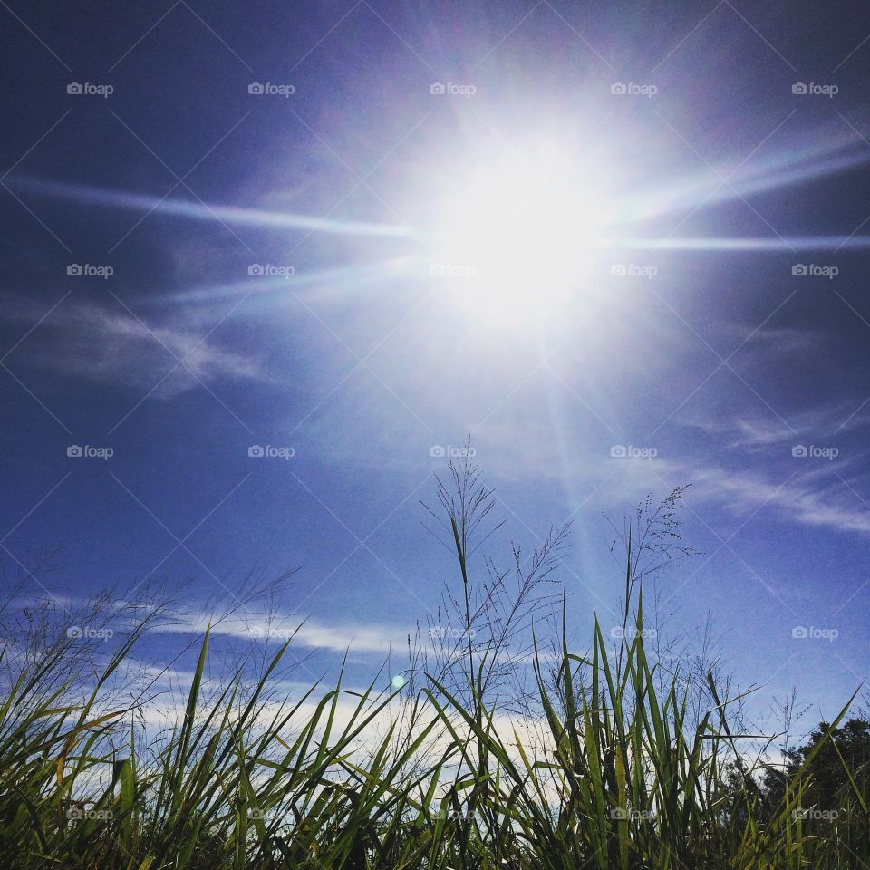 #Sol a pique na manhã domingueira. E viva a #Natureza!
🍃
#paisagem
#morning
#nuvens
#céu