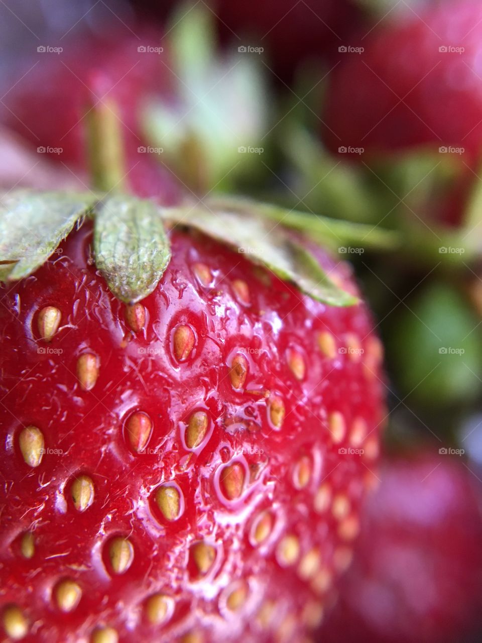 Red strawberry, macro photo 