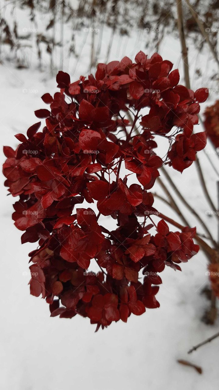 яскраві кольори