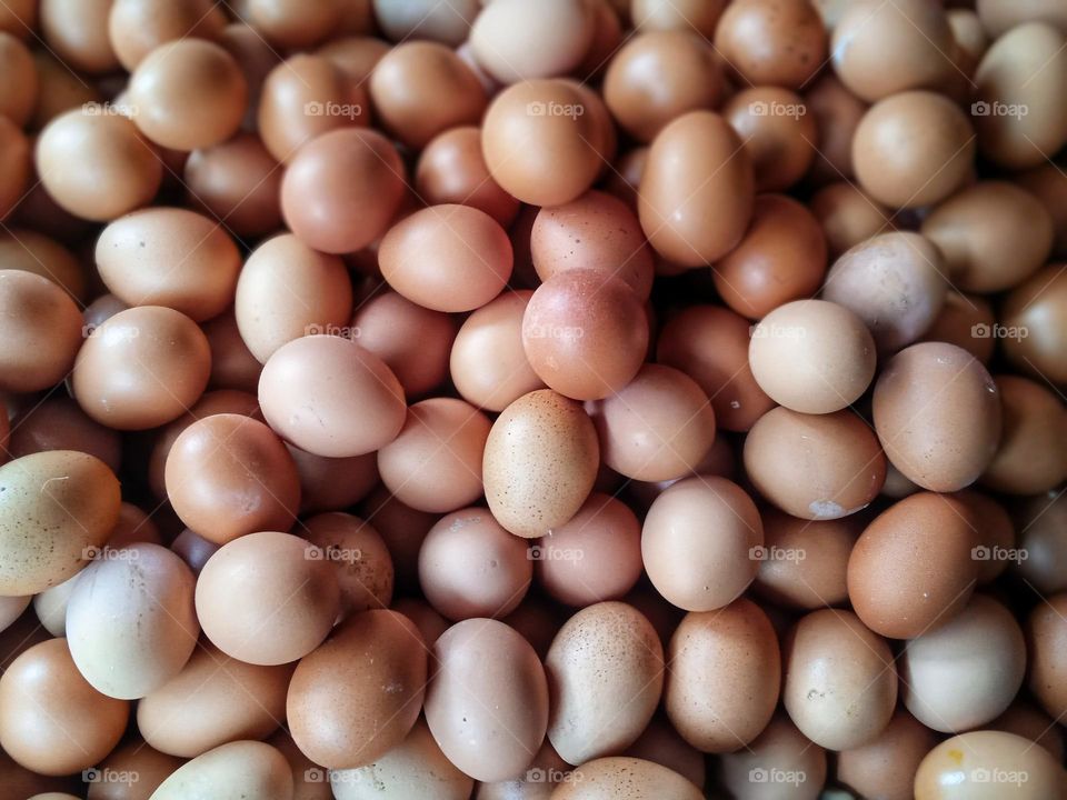 Eggs