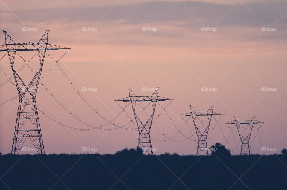 Electrical lines against the desert sunset