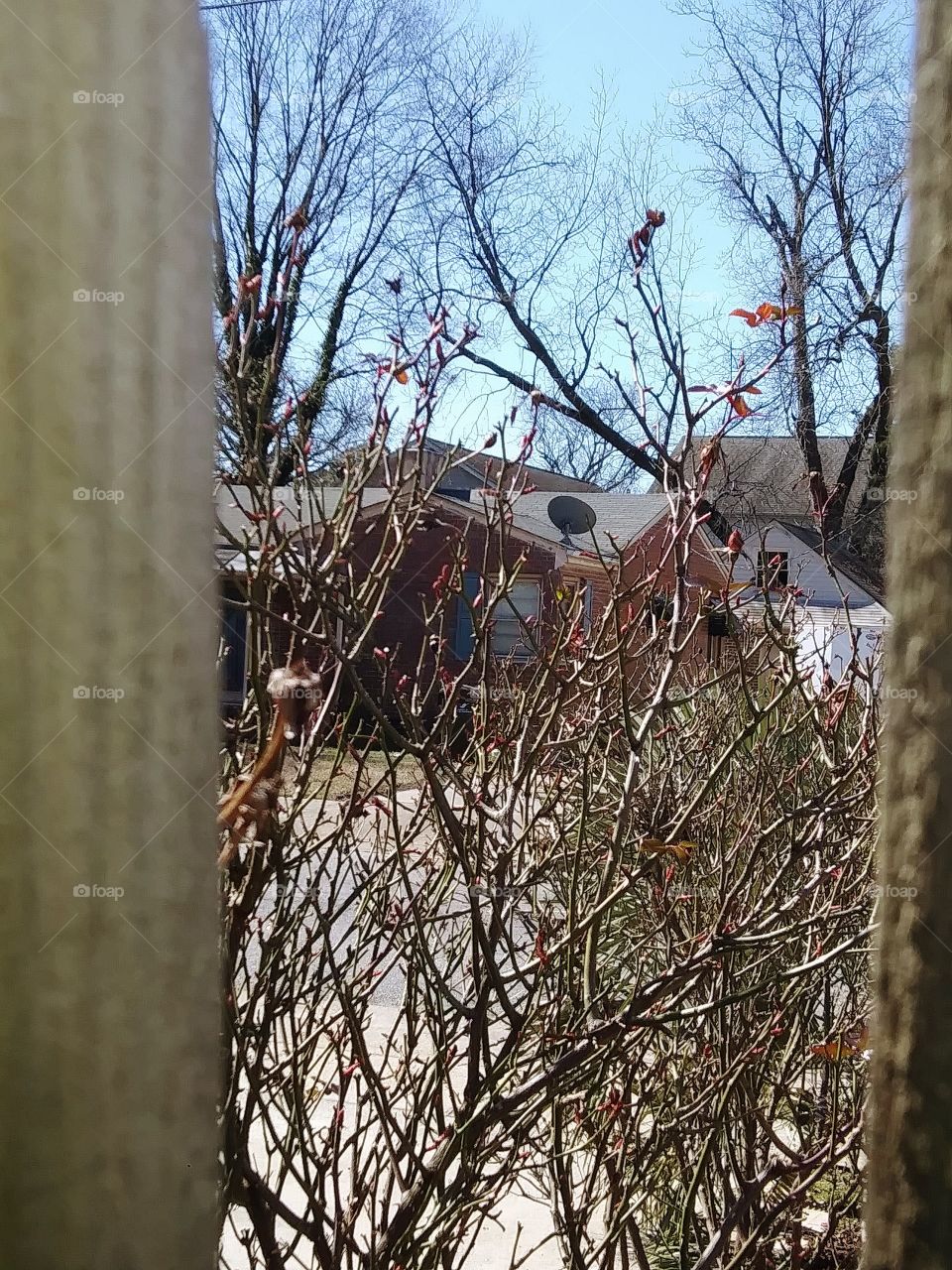 world in the grip of winter