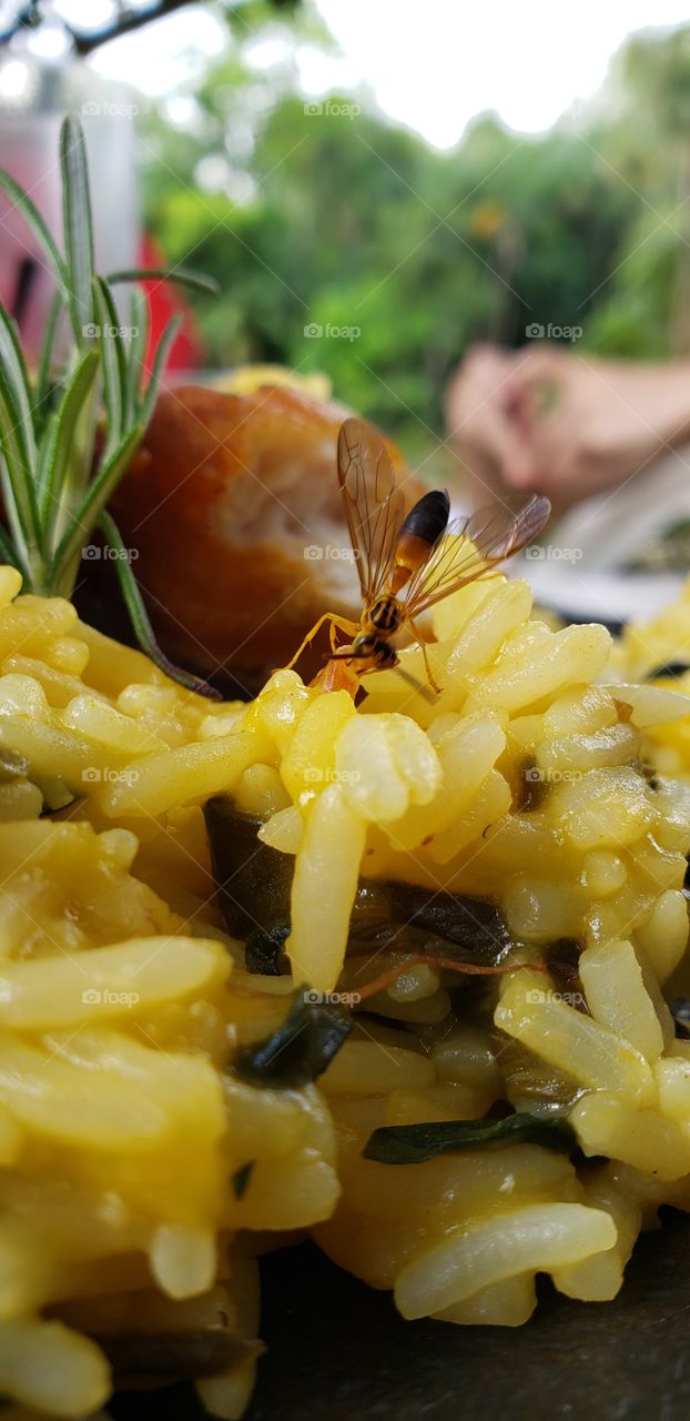 Dividindo a minha comida