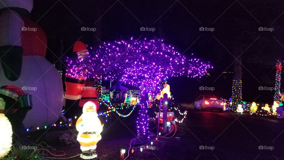 the purple Christmas tree