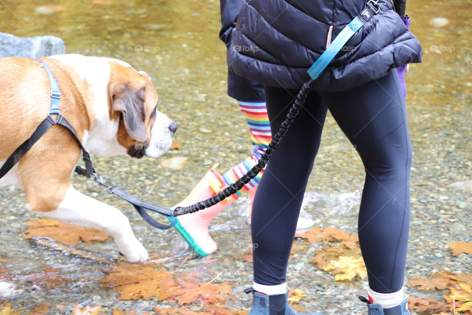 Walk with a dog in autumn 