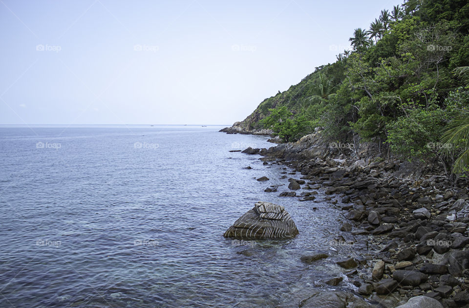 The beauty of the sea and trees on the rocks in the island at Haad salad , koh Phangan, Surat Thani in Thailand.