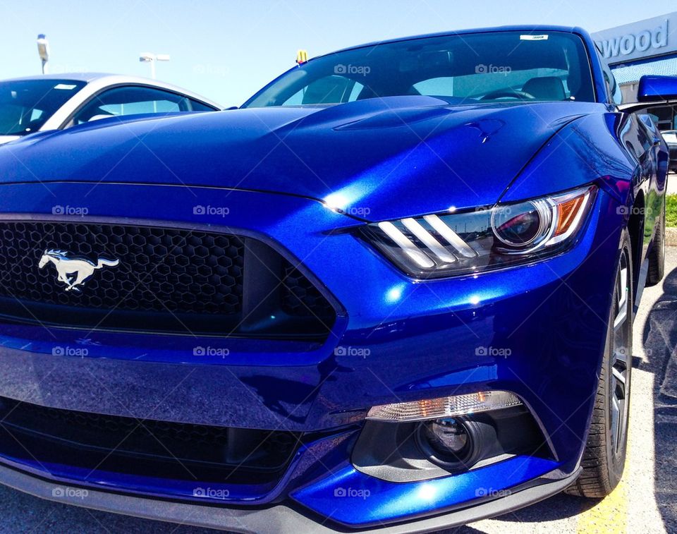 2015 ford mustang muscle car