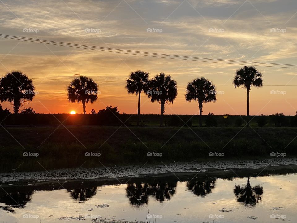 The beautiful sun is setting between palm trees and over a pond with a reflection of the trees. The sky shows multiple colors with clouds.