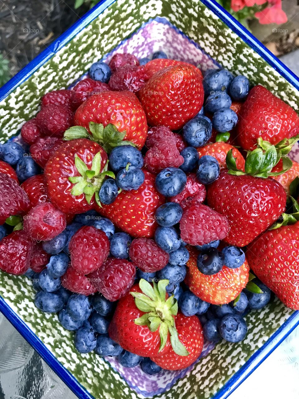 Colorful berries