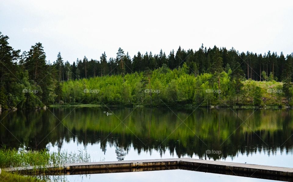 Scenic view of lake