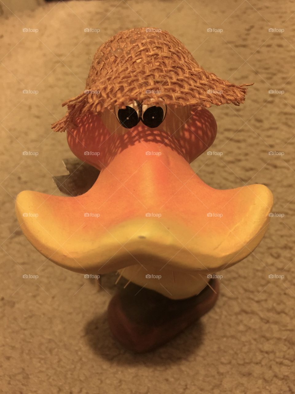 My duck