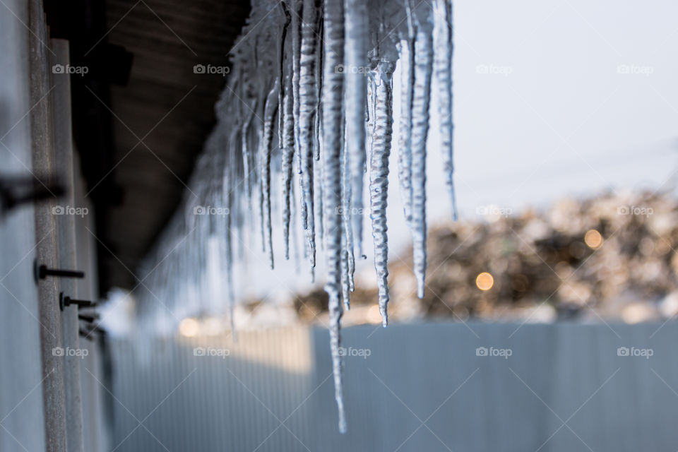 Frozen ice in winter