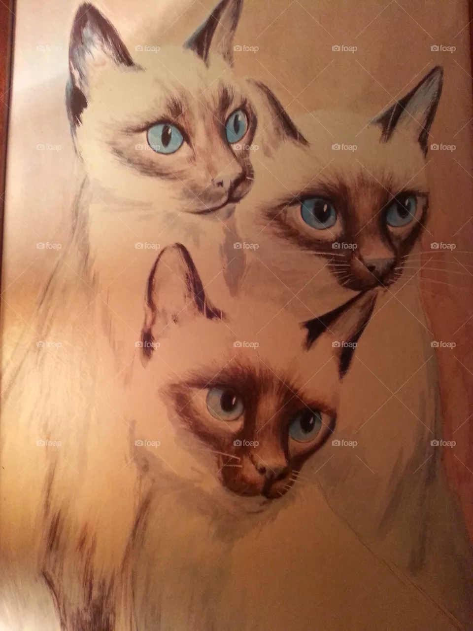 cats