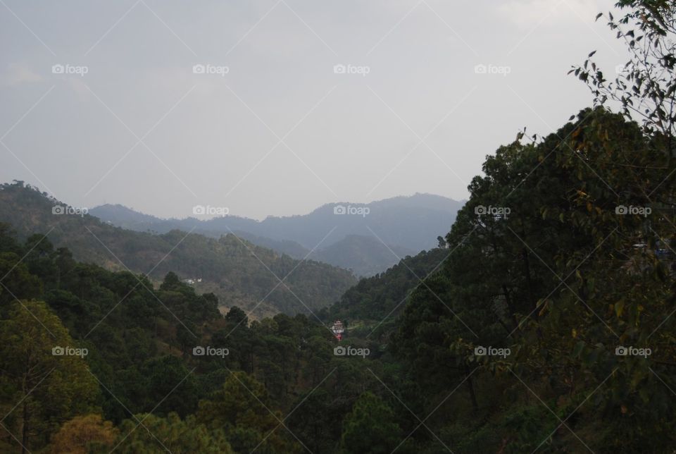 Landscape, Tree, Mountain, Fog, Nature