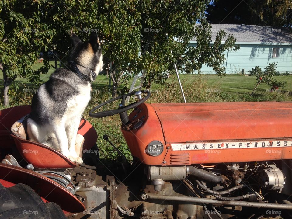 On my Big Red Tractor.