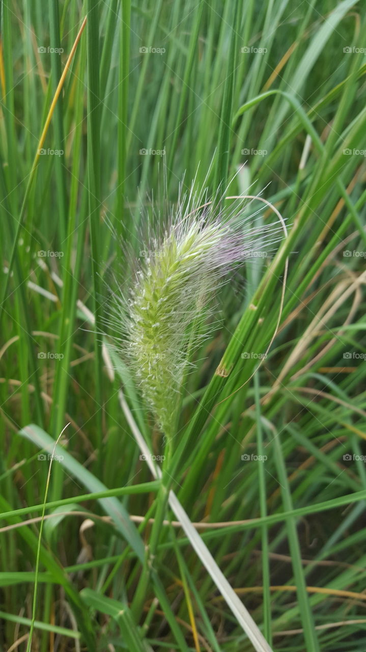 Es Blüht überall wo man hin sieht.