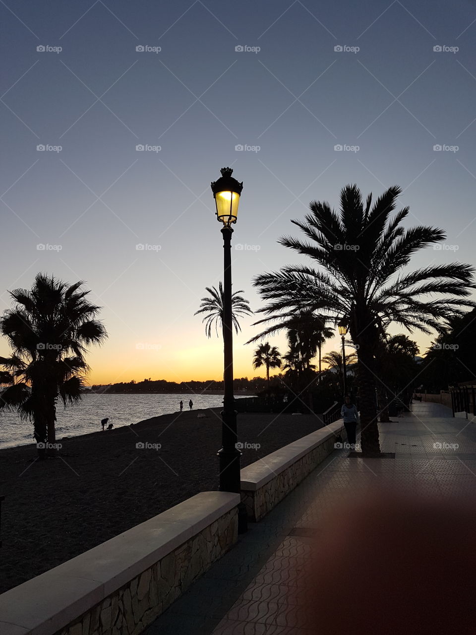 Sunset on San Pedro boulevard in Spain