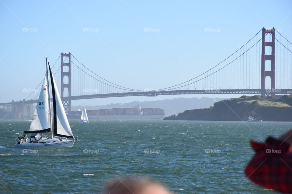 view of golden gate bridge from cruise