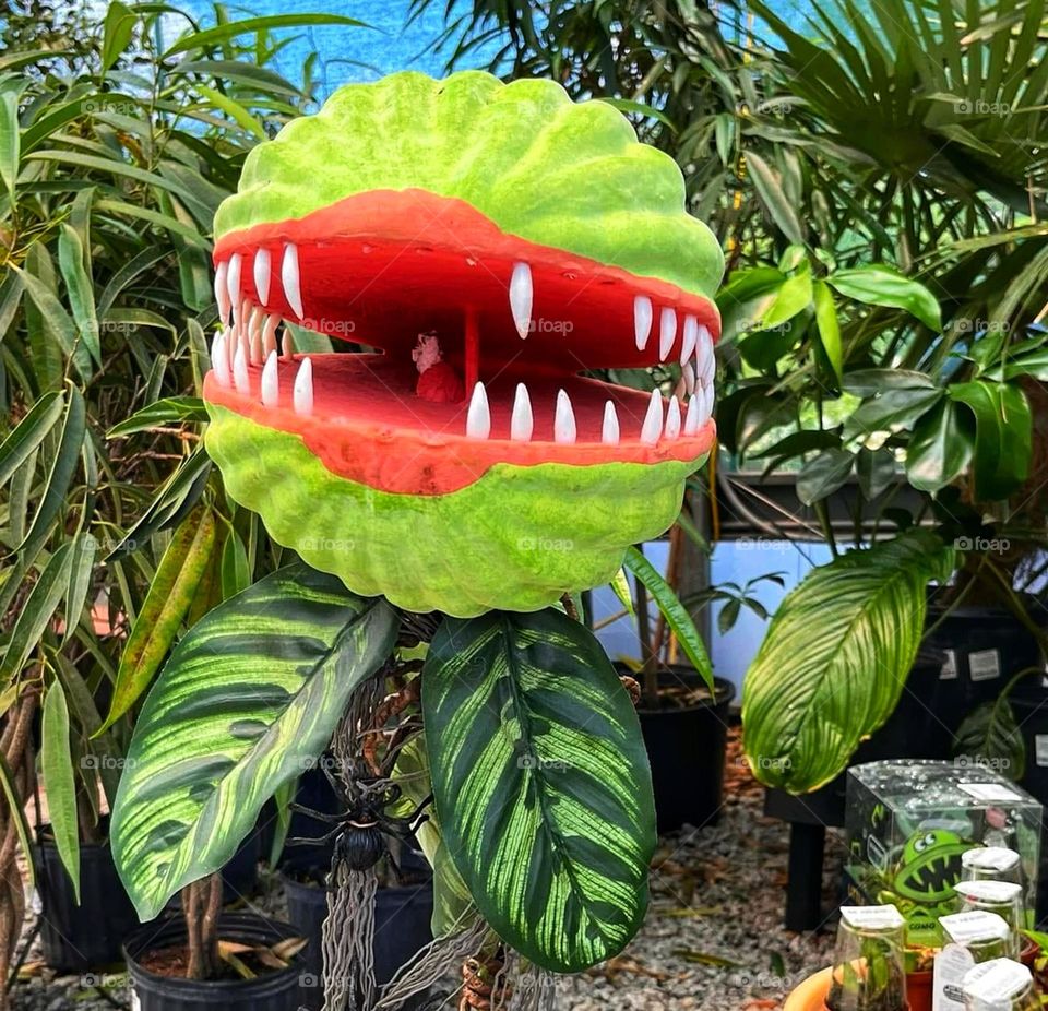 Man-eating carnivorous plant prop in an indoor garden