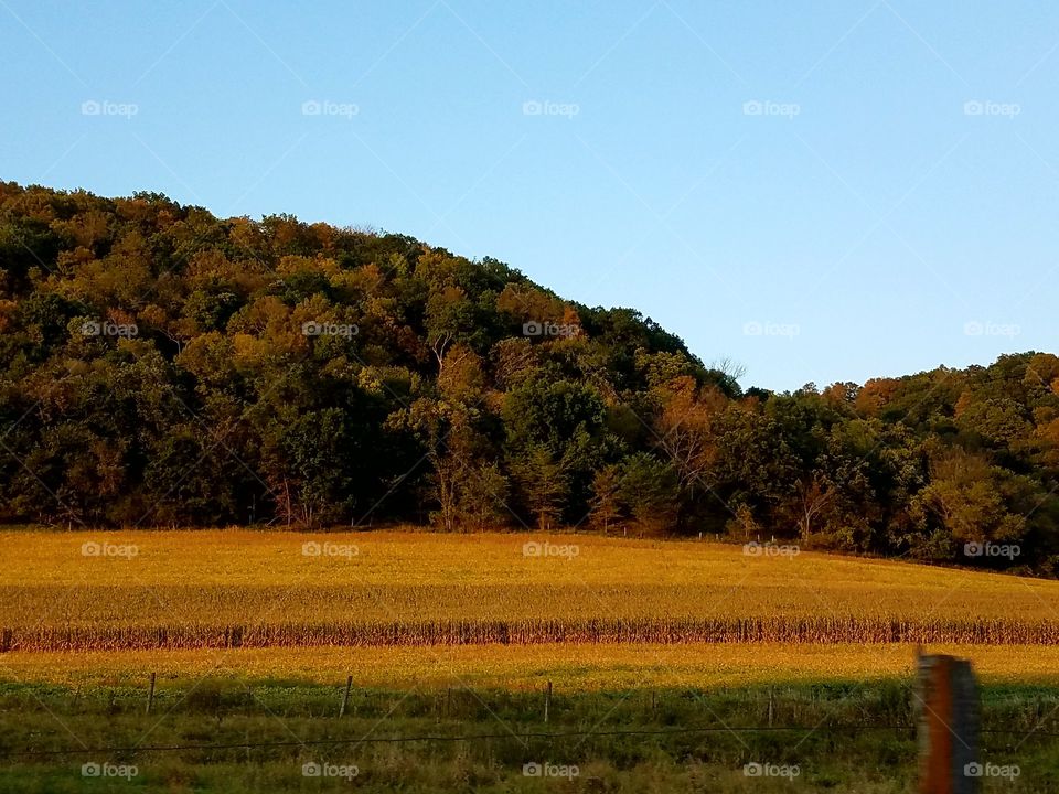 Driving the Back Roads and enjoying everything around us