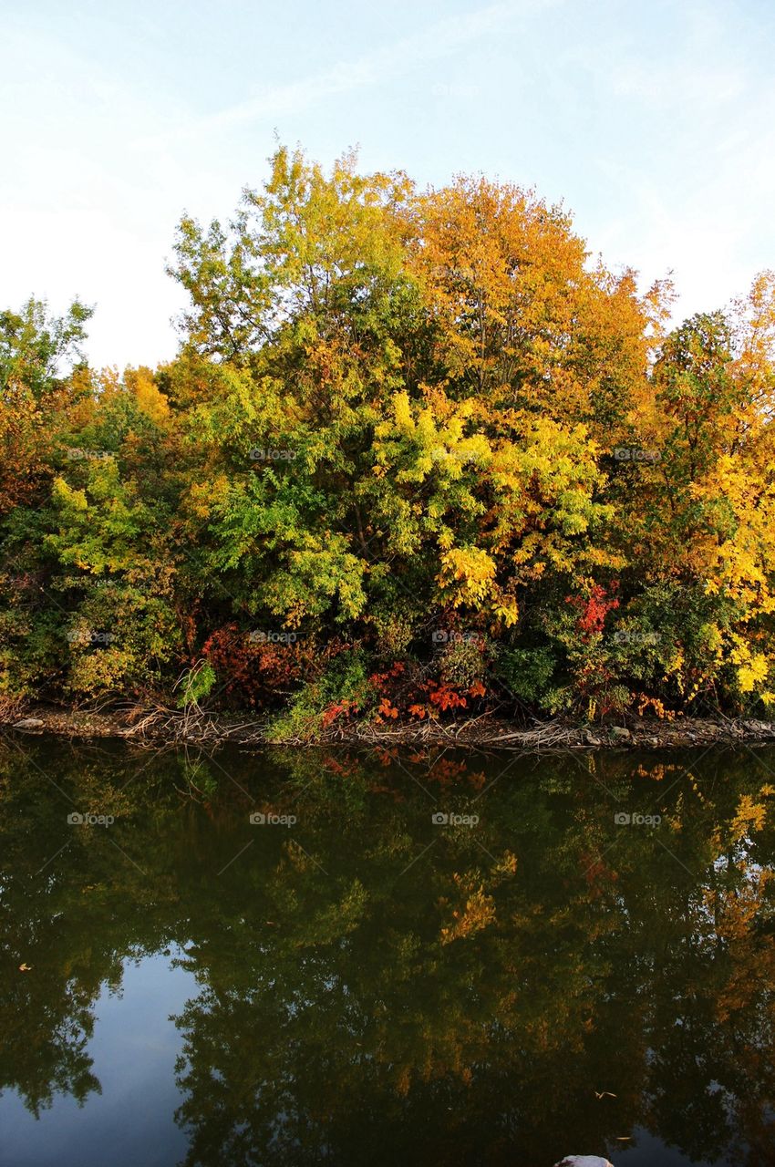 Fall reflections 