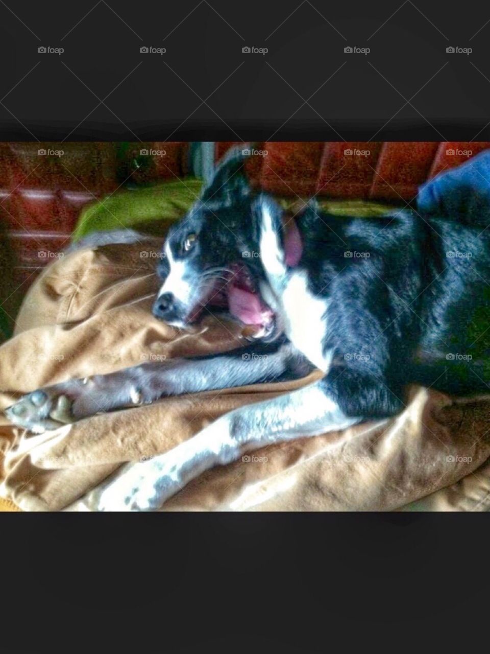 I'm so tired ( big yawn )