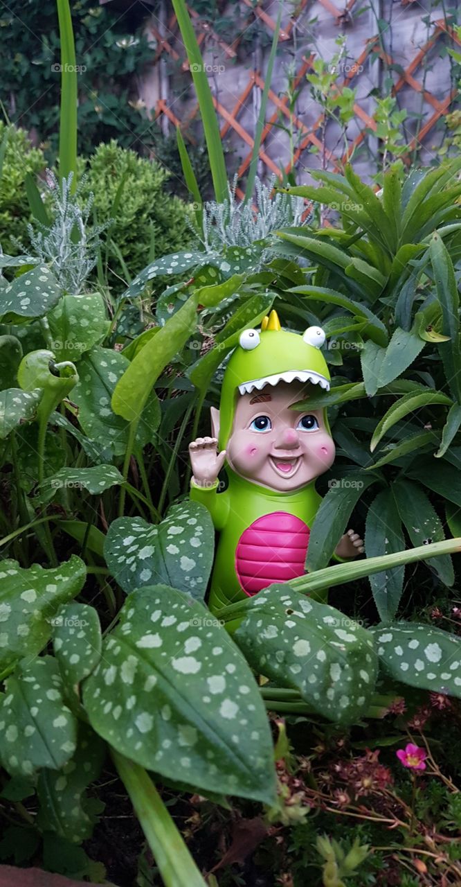 Exploring the jungle