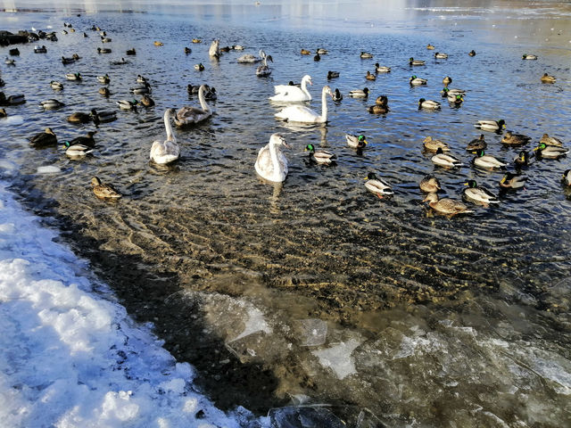 Spring