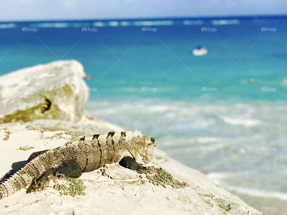 Relaxing on the beach!! Tulum, Mexico