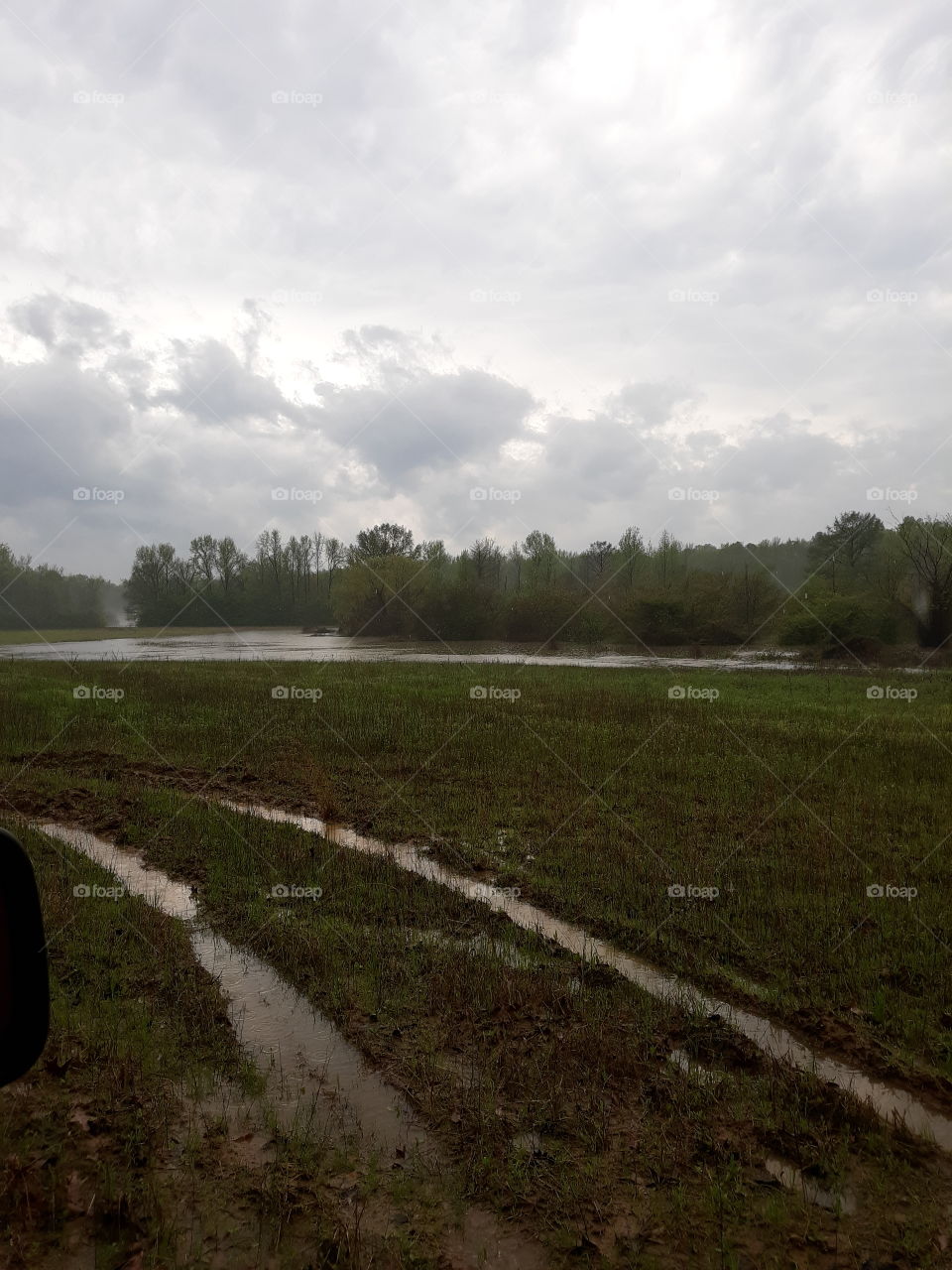 Flooded Field, Spring Weather
