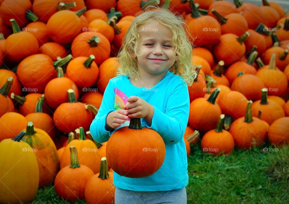 Pumpkin Picking. Little girl choosing her favorite pumpkin. 