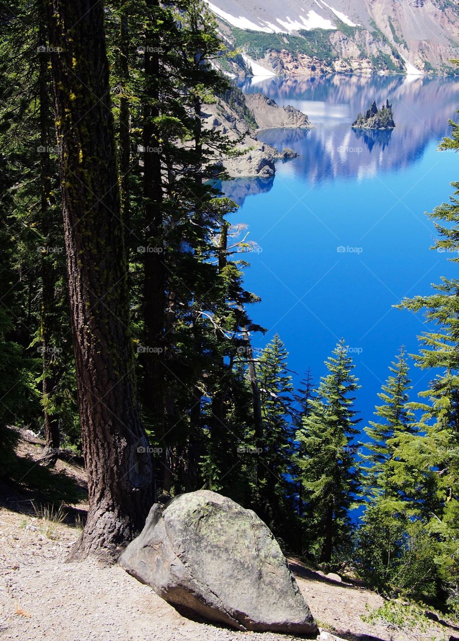 The rugged Phantom Ship seen through beautiful fir trees at Crater Lake National Park in Southern Oregon on a sunny summer morning.