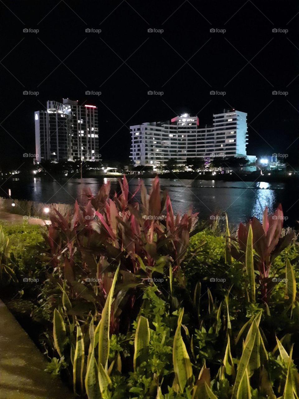 buildings, night and lights