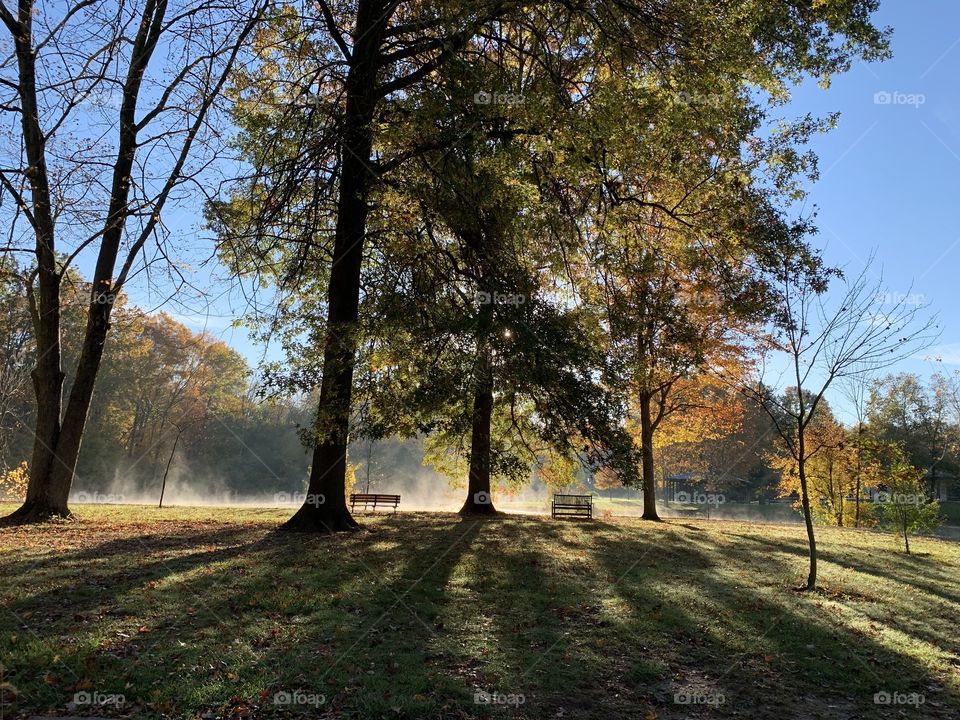 A stunning site through the trees. The mist (fog layer) burning off over a city pond. Lovely Autumn colors!