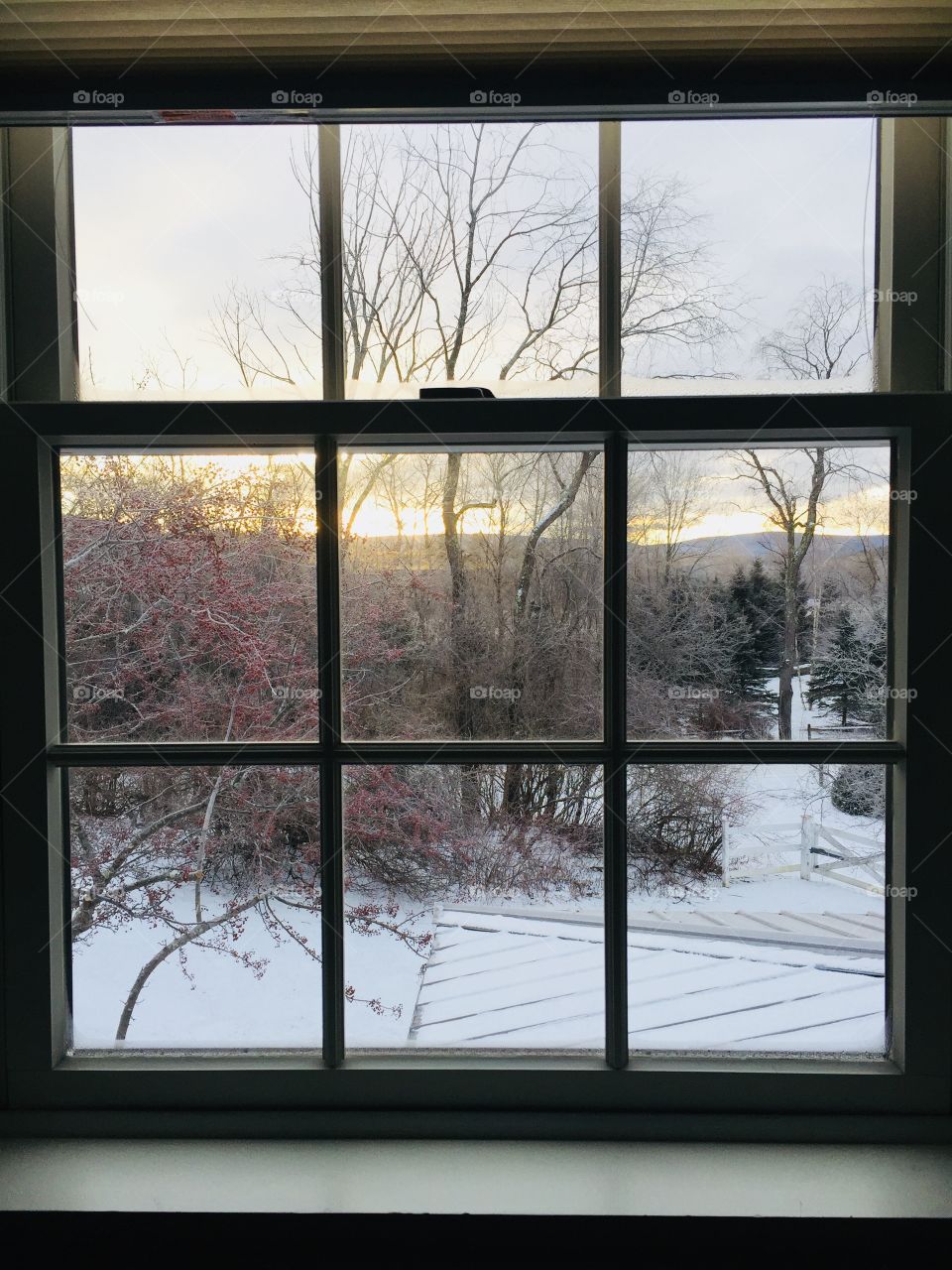 Sunrise in a Vermont winter as seen through a window. A tree full of red berries stands just outside as the sun peeks over he horizon at newly fallen snow.