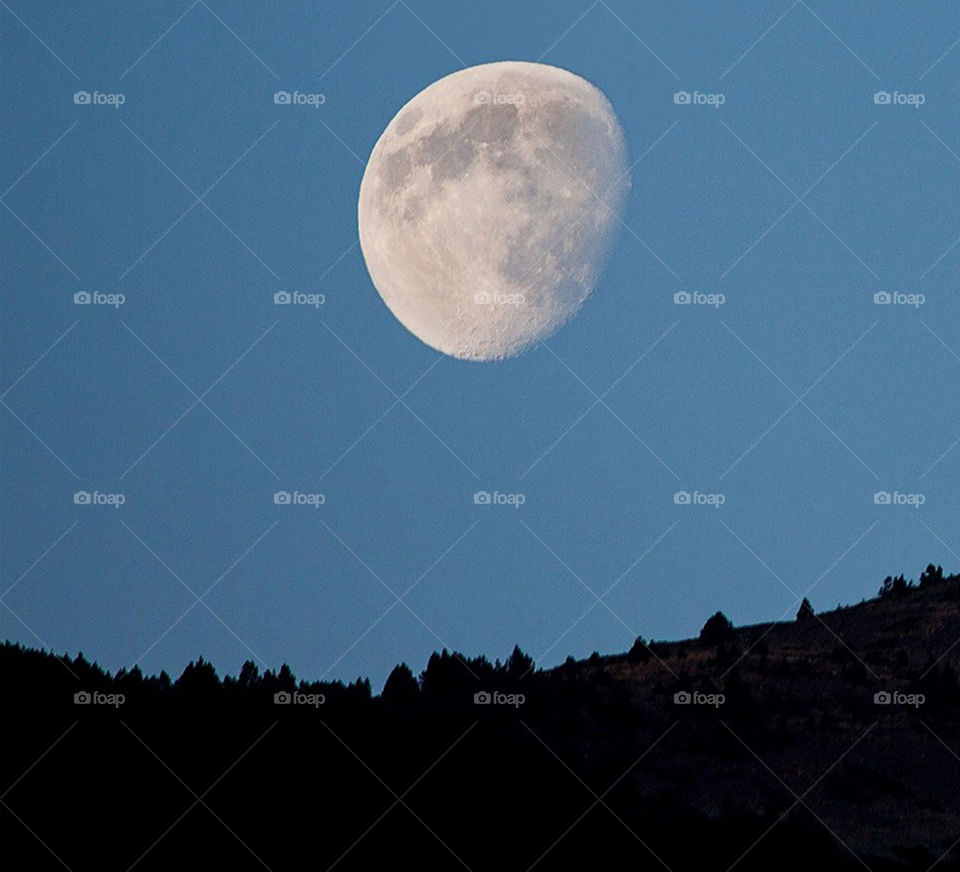 Travel around the world