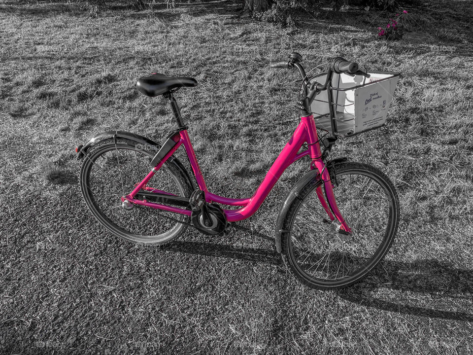 B&W with pink city bicycle.