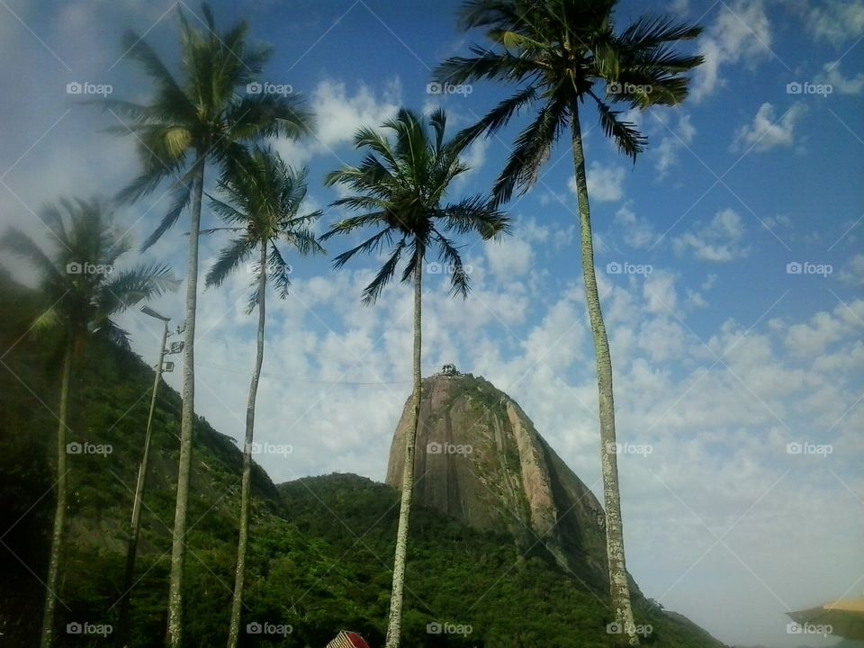 Belezas do Rio