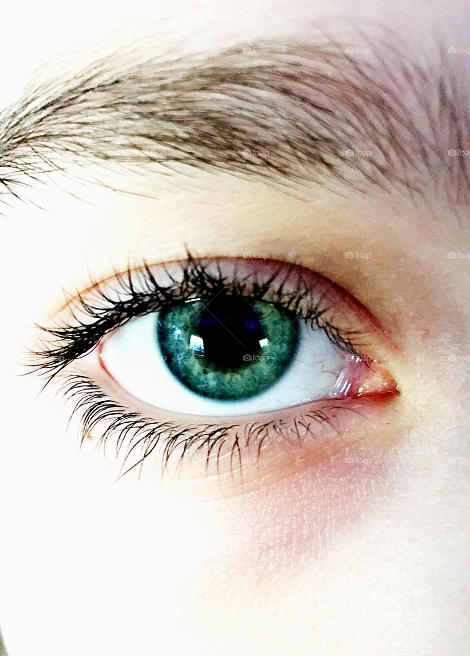 Close-up of green eye