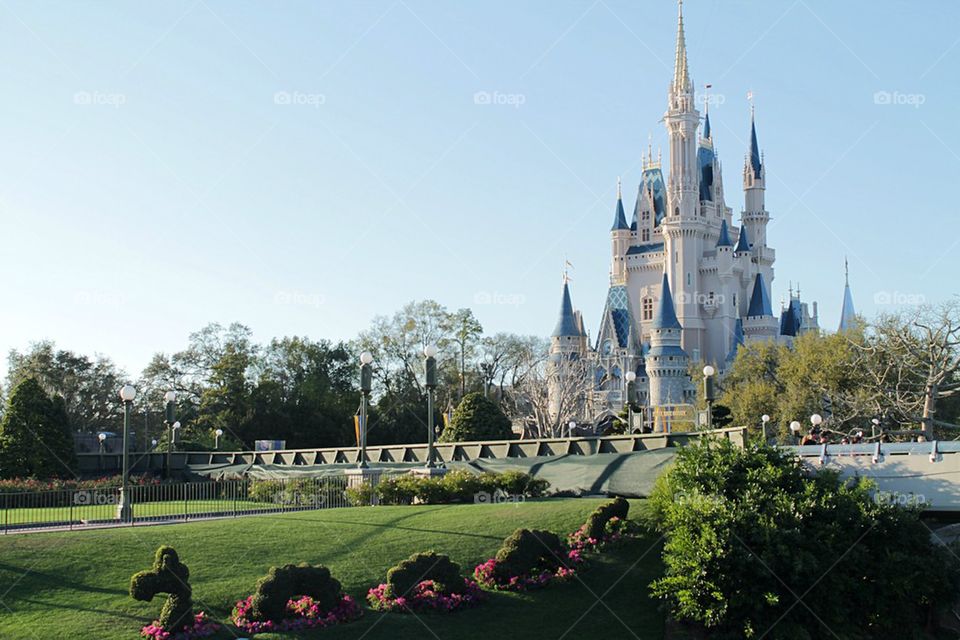 Cinderella's Castle